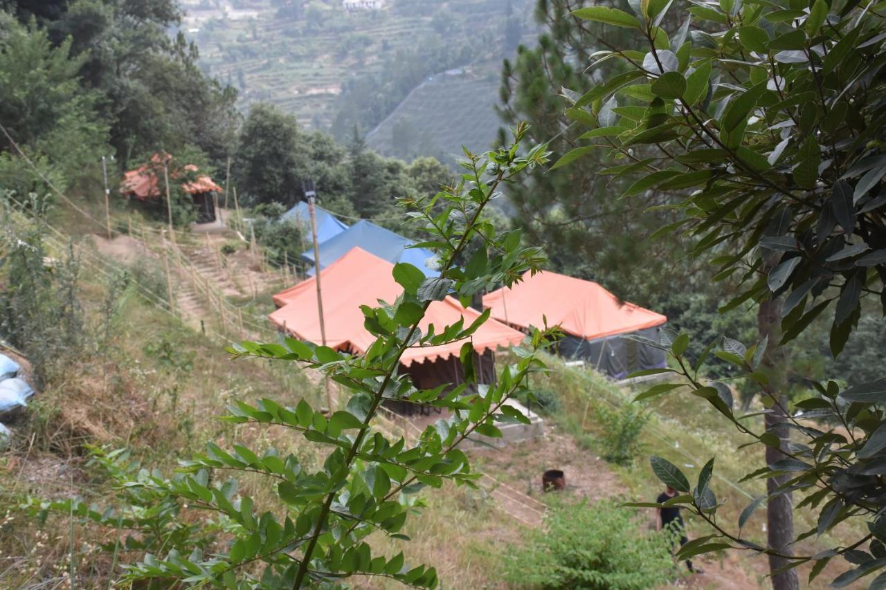מוקטשוואר Forest Acres Camps מראה חיצוני תמונה